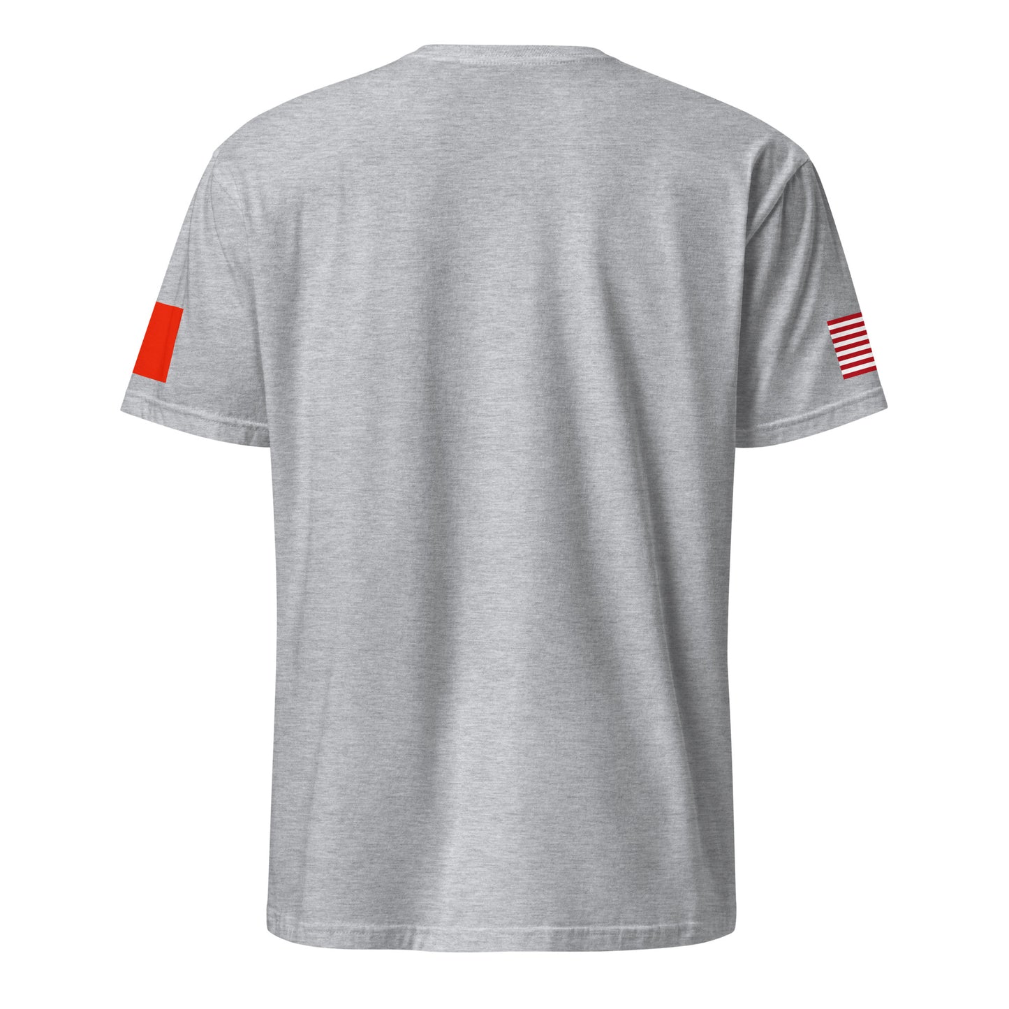 Chinese American light grey t-shirt stars forward back