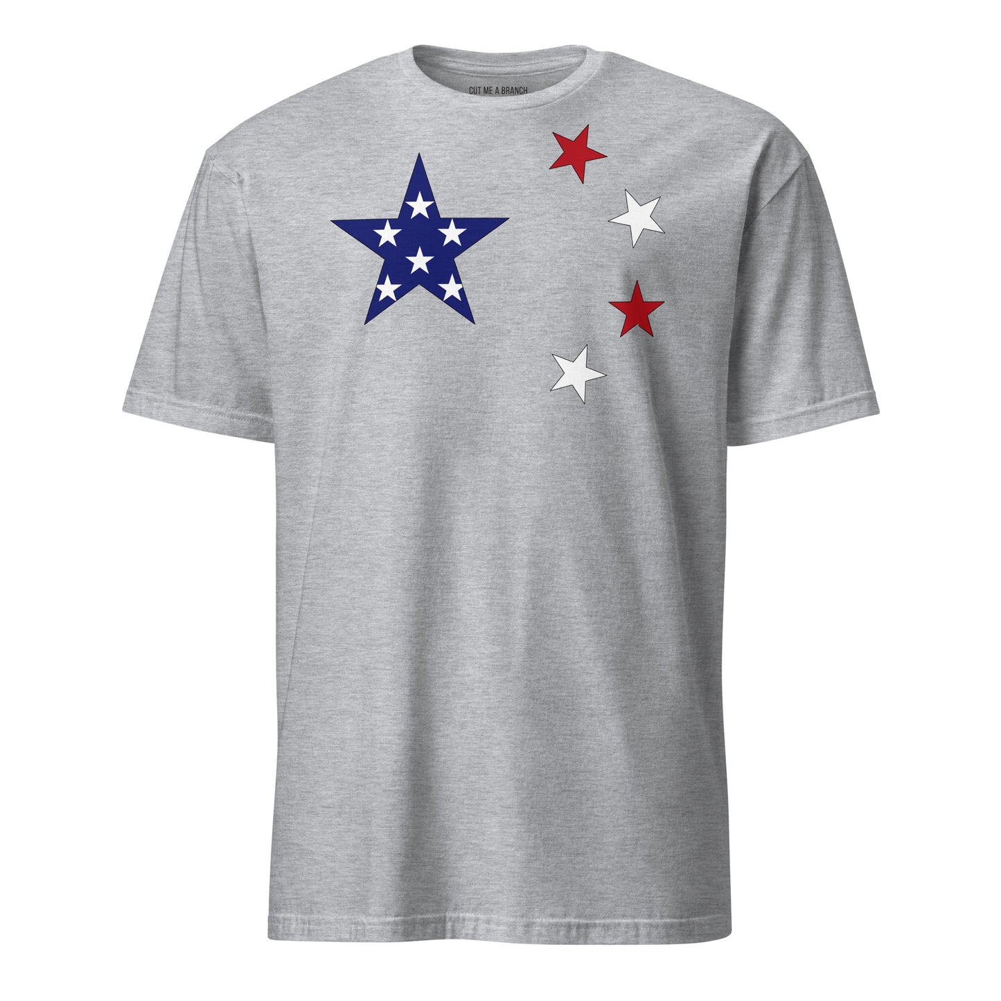 Chinese American light grey t-shirt