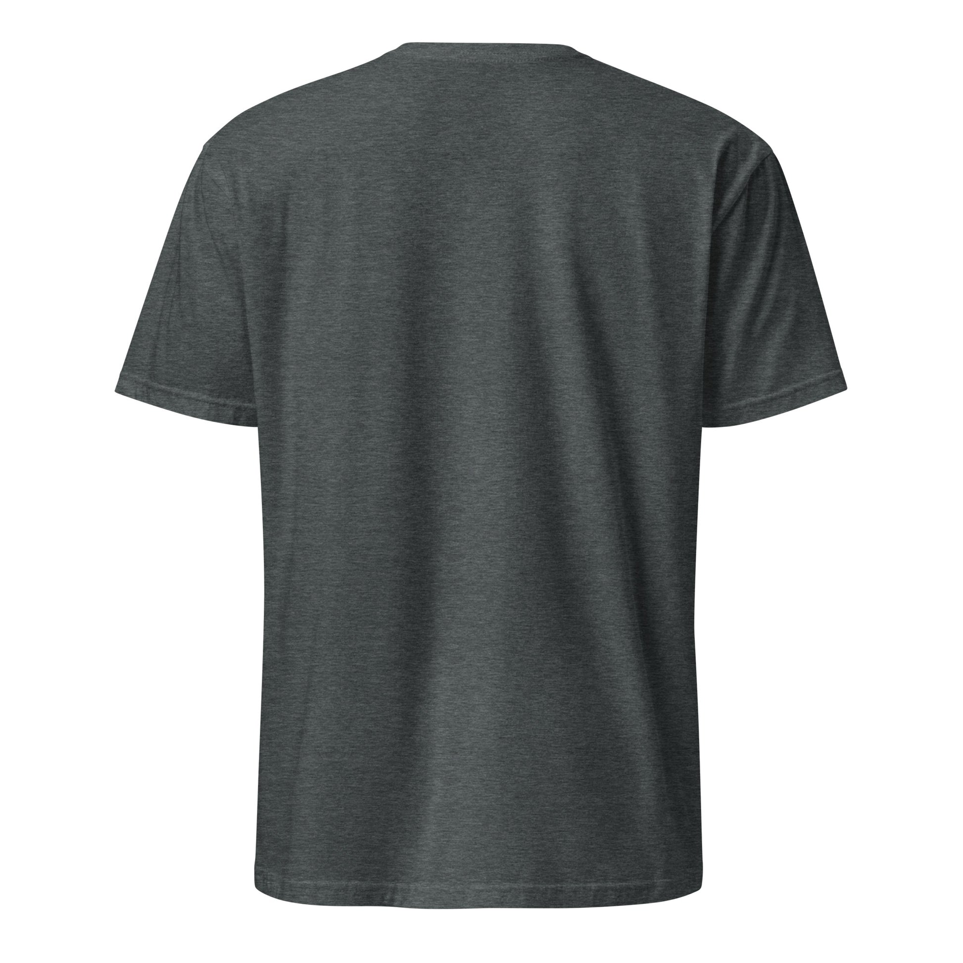 Korean American dark grey heather t-shirt foundation series back