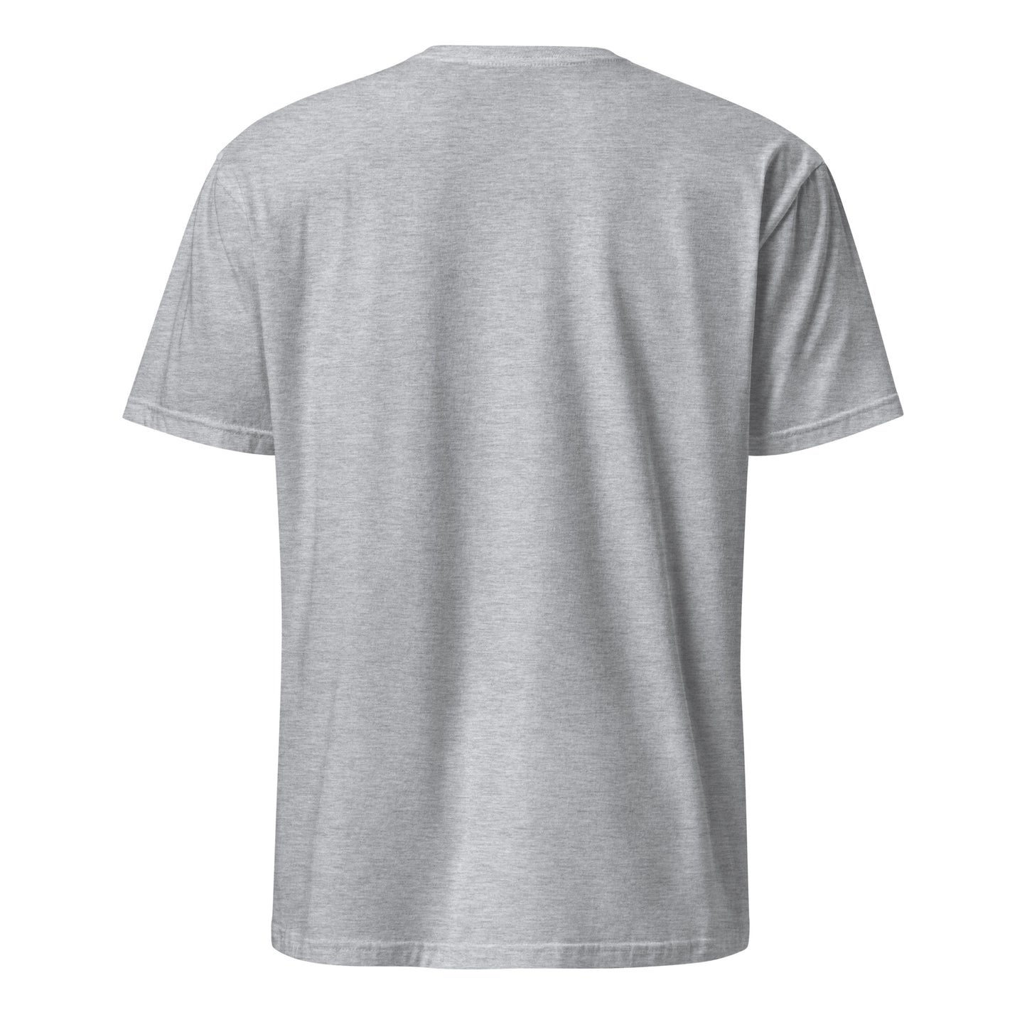 Korean American light grey t-shirt foundation series back