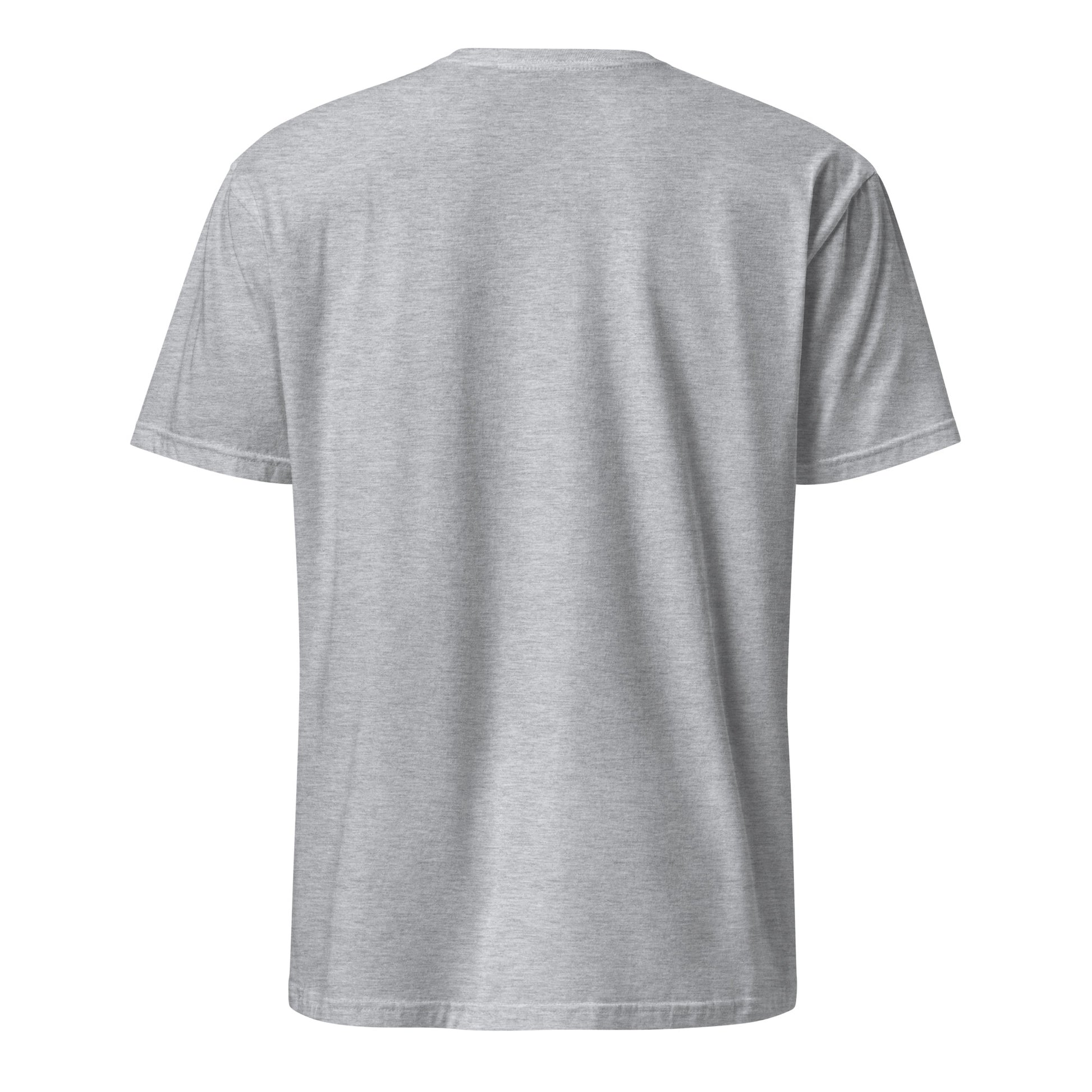 Korean American light grey t-shirt rwb series back