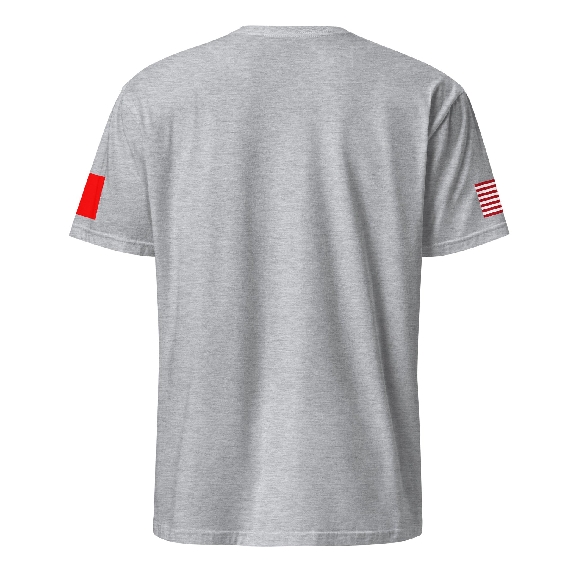 Taiwanese American light grey t-shirt rwb series stars forward back