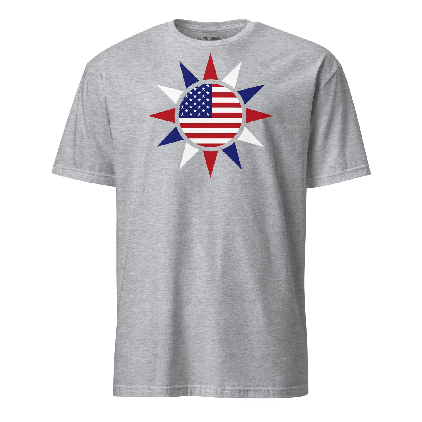 Taiwanese American light grey t-shirt rwb series