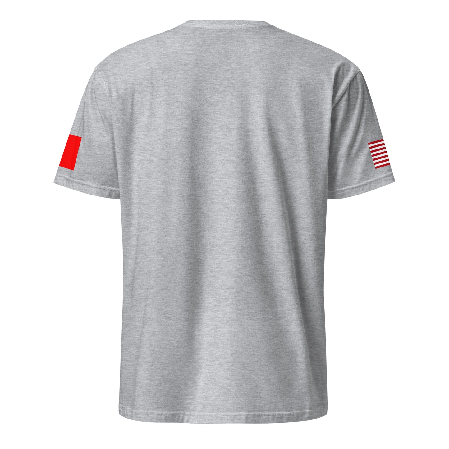 Taiwanese American light grey t-shirt stars forward back