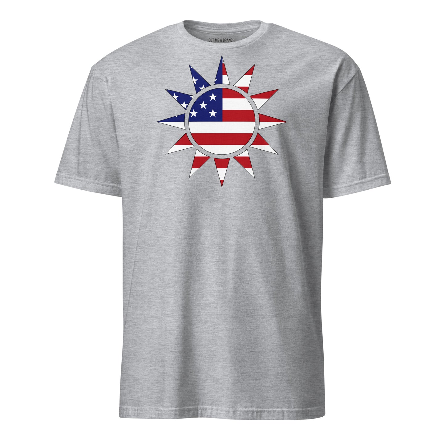 Taiwanese American light grey t-shirt